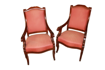 Pair of Directoire style armchairs in mahogany wood and mahogany feather, 19th century