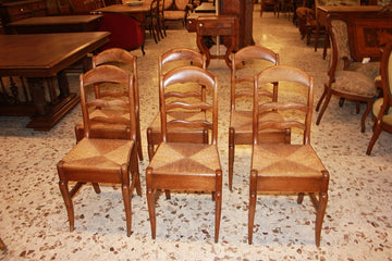 Group of 6 rustic French chairs from the 19th century in cherry wood