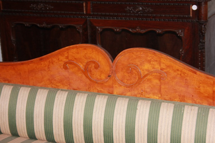 Divano Nord Europa stile Biedermeier del 1800 in legno di betulla con motivi di intaglio
