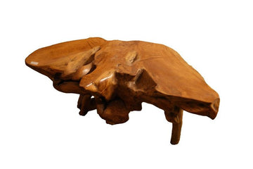 Ancient coffee table made from centuries-old mangrove root