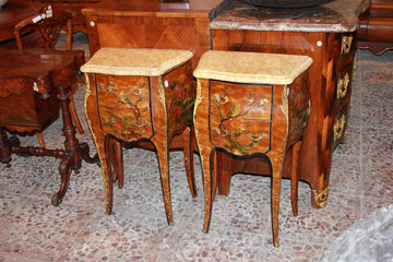 Pair of Chinese-style Louis XV Painted Bedside Tables with Floral and Animal Motifs
