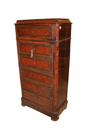 French Louis Philippe Secretaire in Elm Burl and Ebony, 19th Century