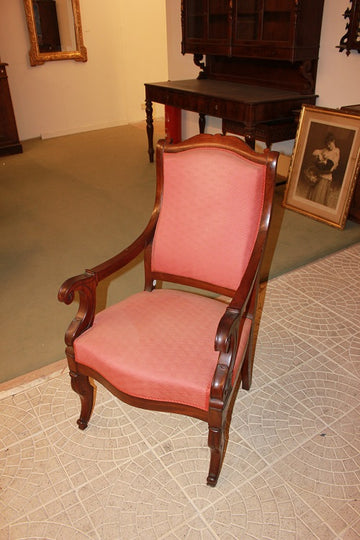 Pair of Directoire style armchairs in mahogany wood and mahogany feather, 19th century