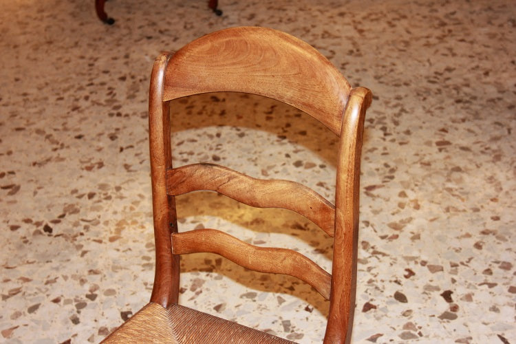 Gruppo di 6 sedie rustiche francesi incannate del 1800 in legno di ciliegio