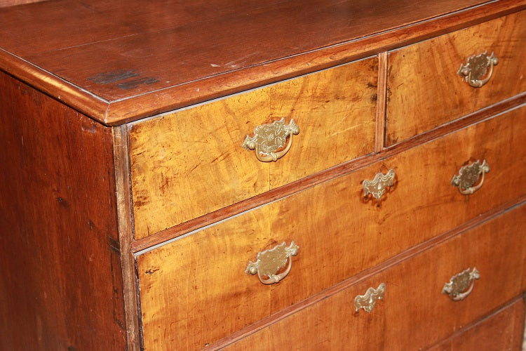Piccolo cassettone comoncino inglese del 1700 stile Queen Anne in legno di noce