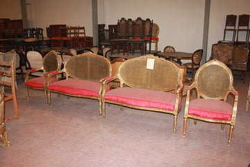 French Louis XVI Style Living Room Set Gilded with Gold Leaf from the 19th Century: 2 Sofas, 2 Armchairs