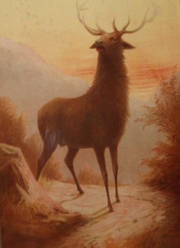 Paire de tableaux anciens des années 1800 représentant des cerfs