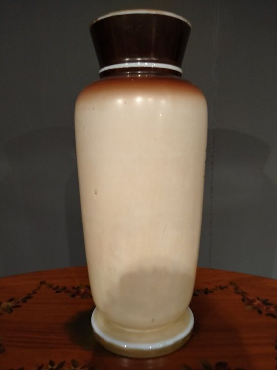 Coppia di antichi vasi francesi del 1800 in vetro opaline dipinti