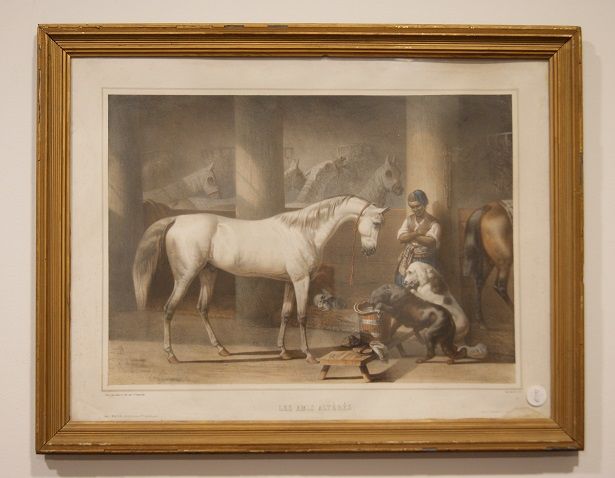 Antica stampa a colori francese del 1800 stalla con animali