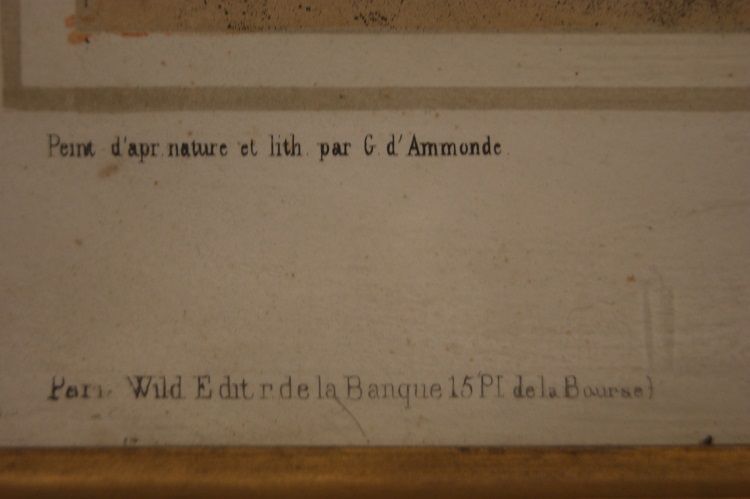 Antica stampa a colori francese del 1800 stalla con animali