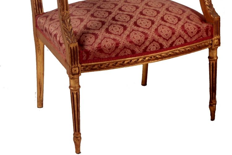 Antico salotto francese del 1800 stile Luigi XVI in legno dorato