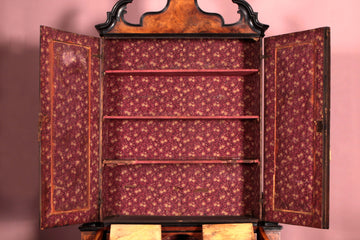 Precious antique Bureau Bookcase in walnut root with ebonized profiles