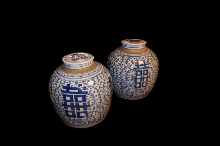 Coppia di piccoli vasi cinesi del 1800 in porcellana bianca decorata di azzurro