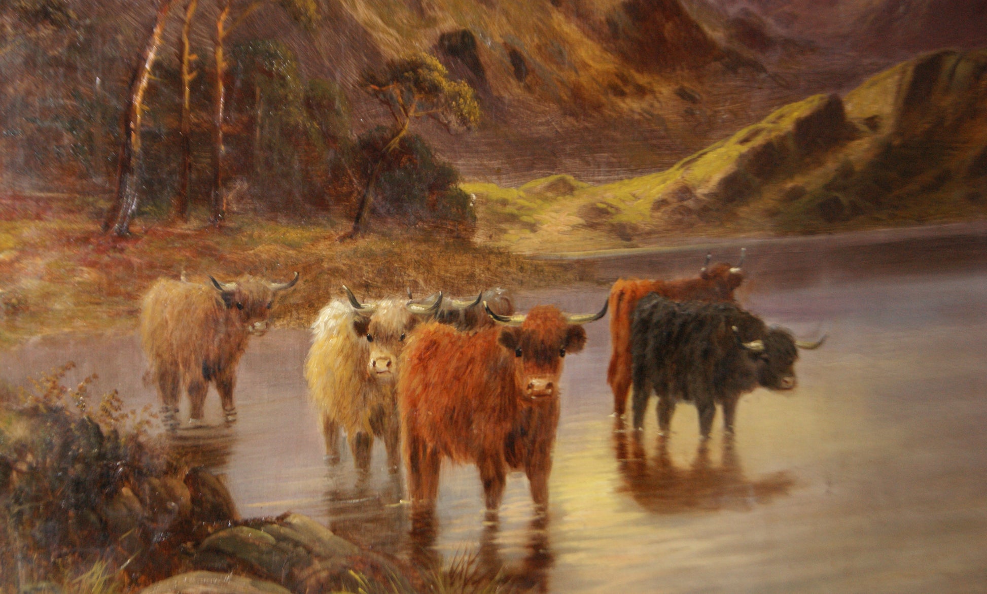 Olio su tela inglese del 1800 Paesaggio altopiani scozzesi con Buoi Highlander