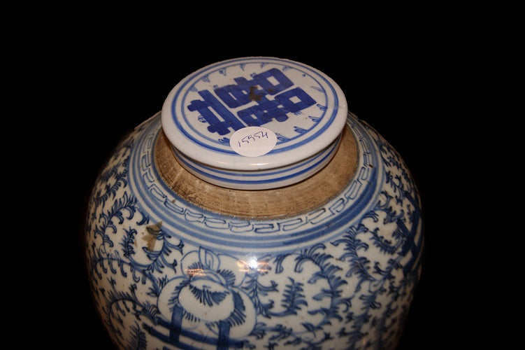 Coppia di piccoli vasi cinesi del 1800 in porcellana bianca decorata di azzurro